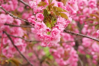 温州鹿城区1线下个人借款平台一站式服务，轻松解决资金难题