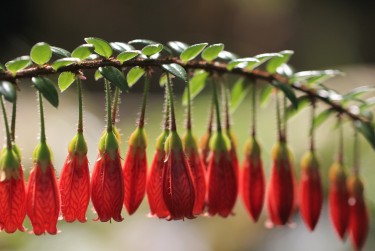 温州鹿城区1零用贷短借：轻松解决临时资金需求