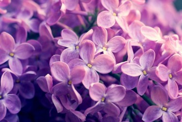 温州鹿城区1企业急用钱贷款攻略：快速融资解燃眉之急